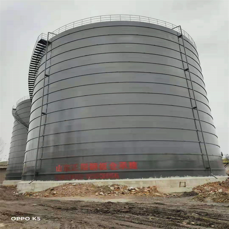 沙洋3万吨大型钢板库