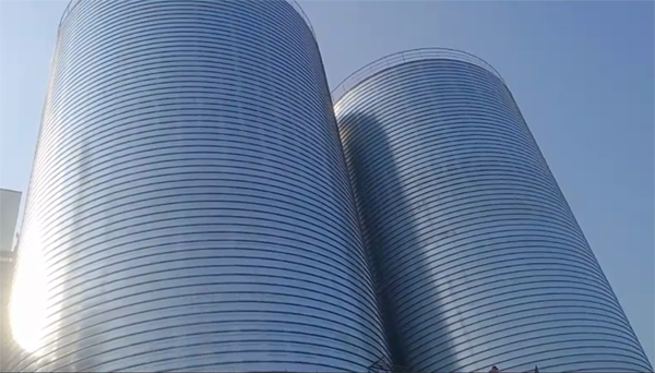 沙洋2座混凝土高架卷板仓